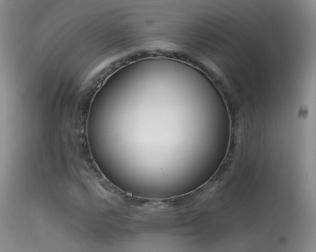 X0000113331112200909141420