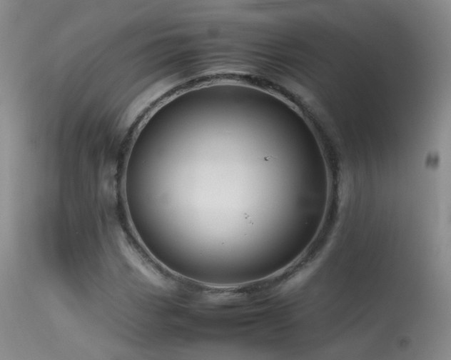X0000113331113200909141420