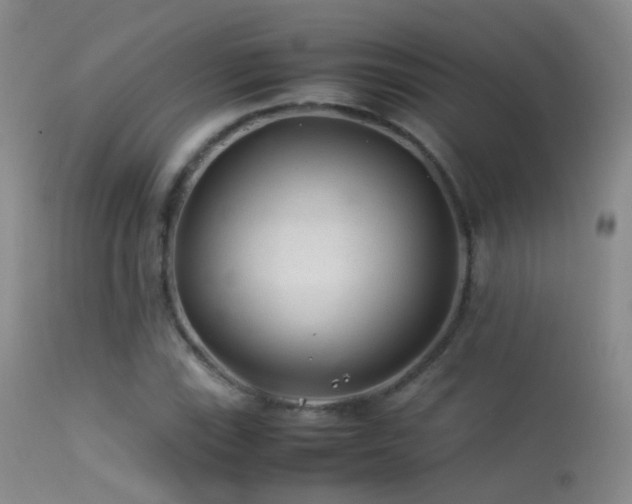 X0000113331115200909141420