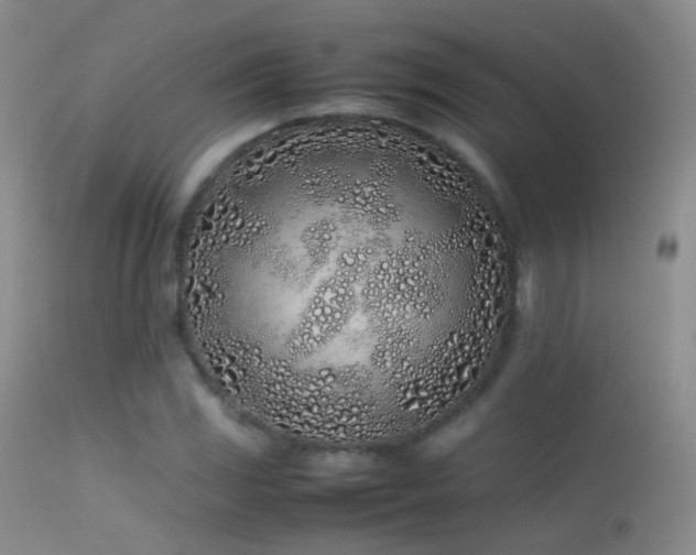 X0000113331117200909141420