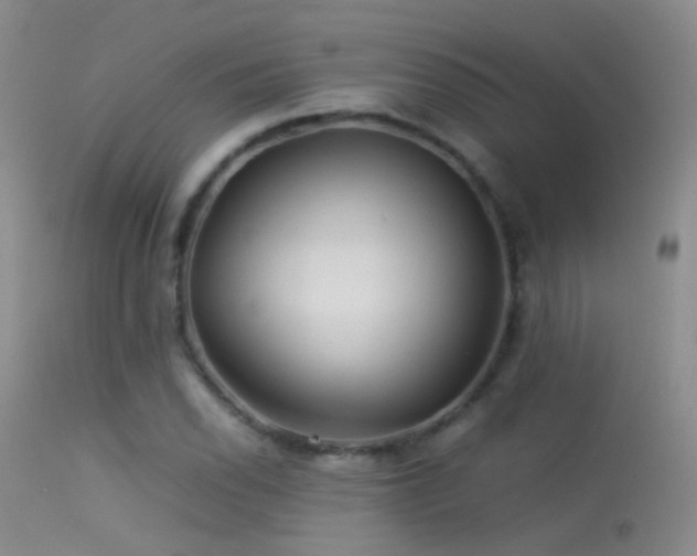 X0000113331118200909141420