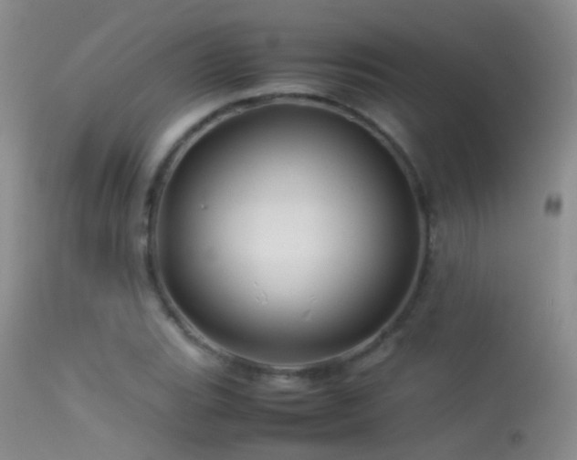 X0000113331119200909141420
