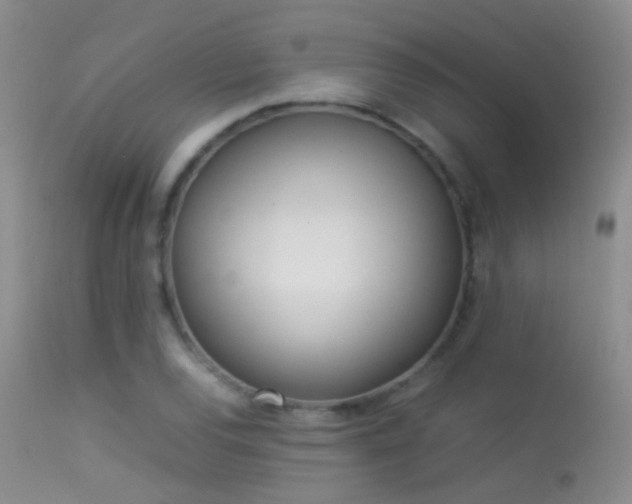 X0000113331120200909141420