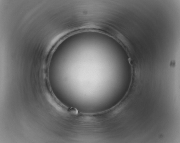 X0000113331124200909141420