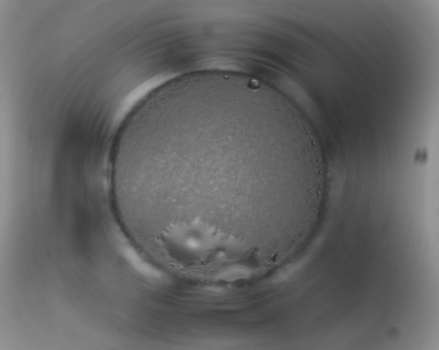 X0000113331125200909141420