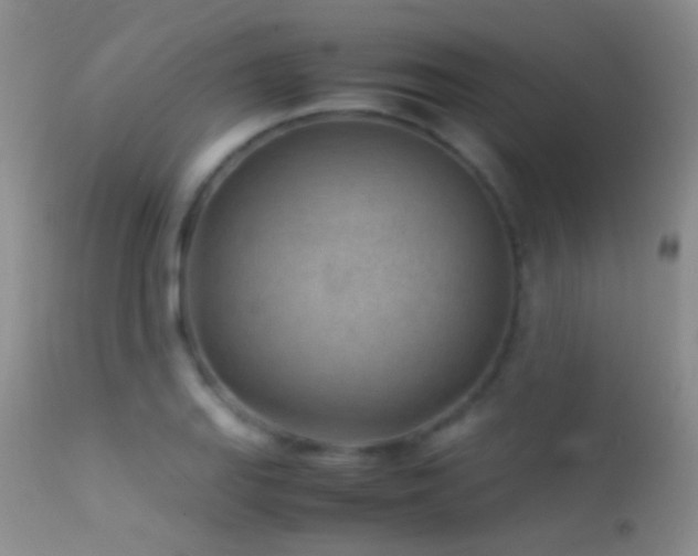 X0000113331127200909141420