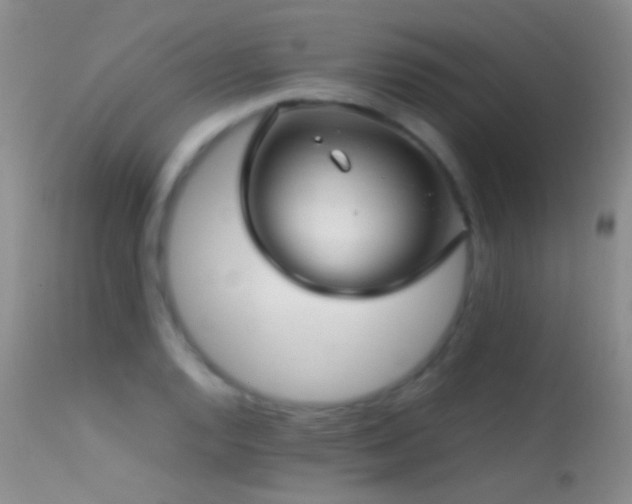 X0000113331128200909141420