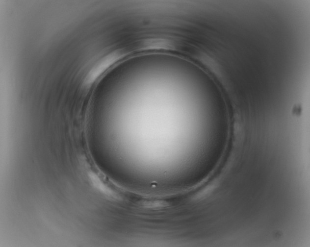X0000113331129200909141420