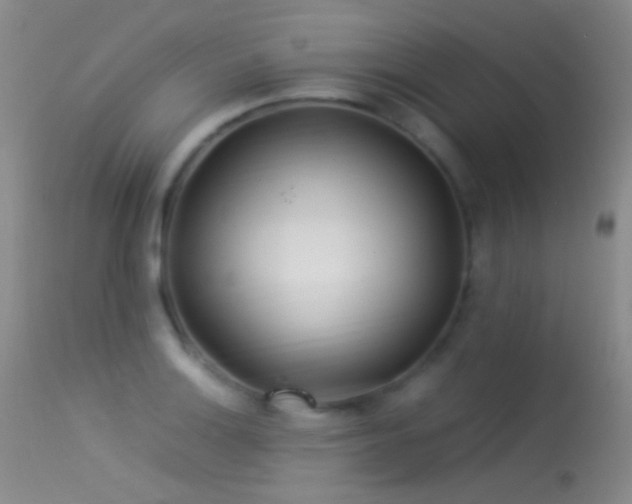 X0000113331132200909141420