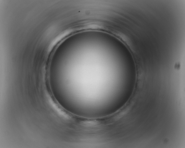 X0000113331134200909141420