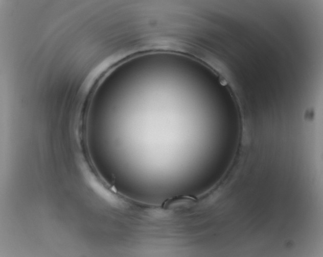 X0000113331136200909141420