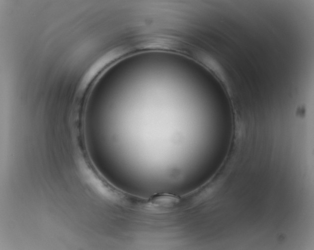 X0000113331138200909141420