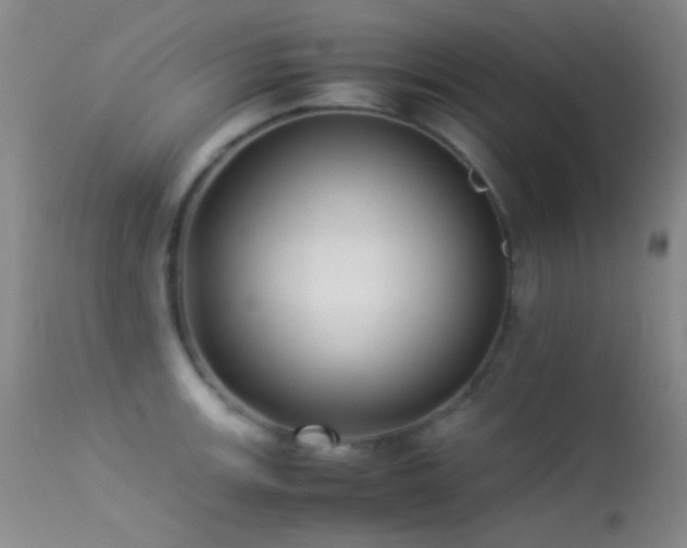 X0000113331139200909141420