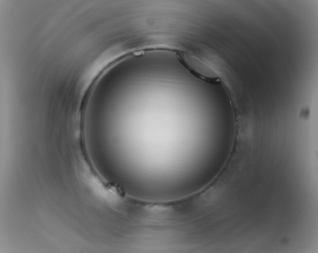 X0000113331140200909141420