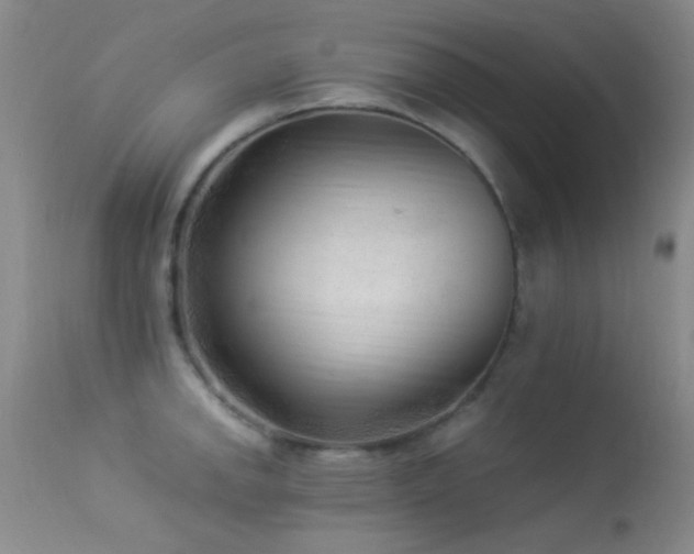 X0000113331142200909141420