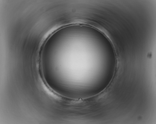 X0000113331143200909141420