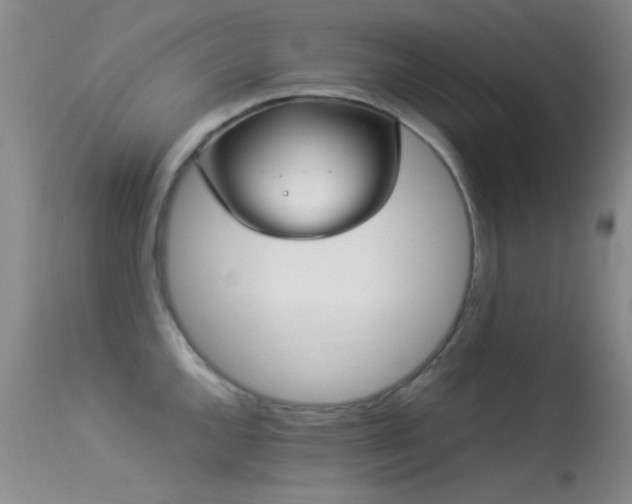 X0000113331144200909141420
