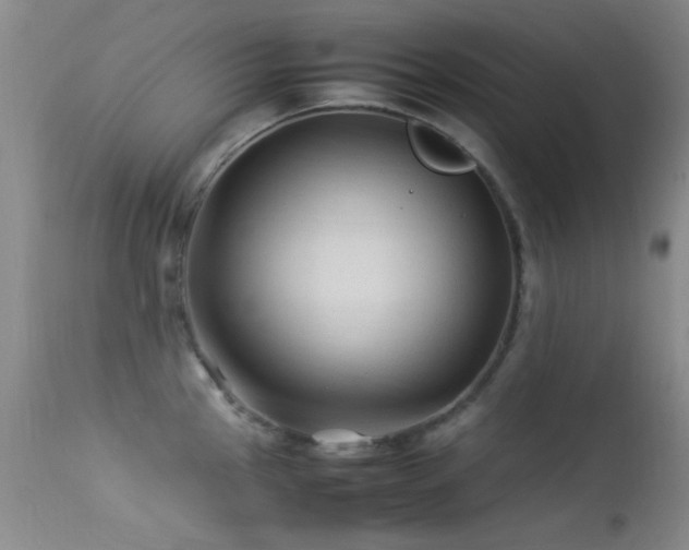X0000113331145200909141420