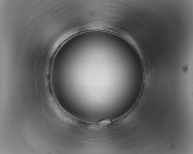 X0000113331146200909141420