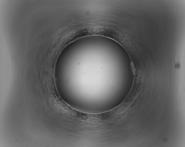 X0000113331153200909141420