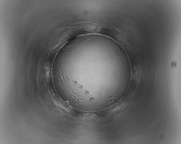 X0000113331154200909141420