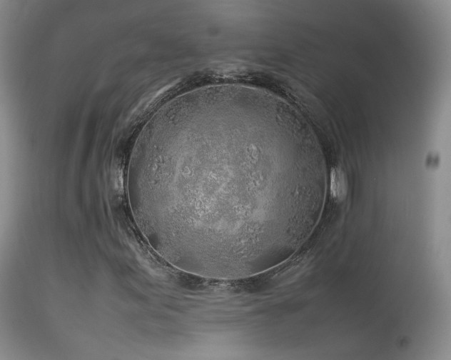 X0000113331155200909141420