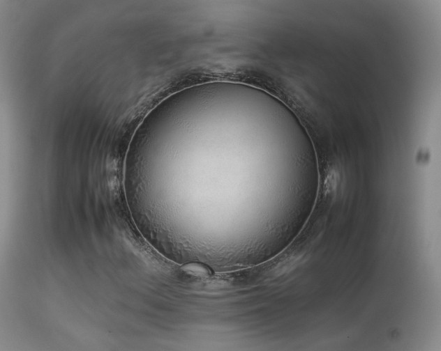 X0000113331156200909141420