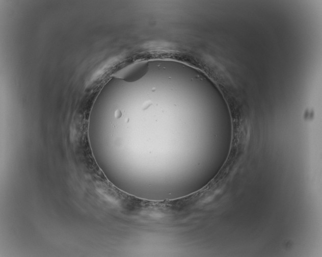 X0000113331157200909141420