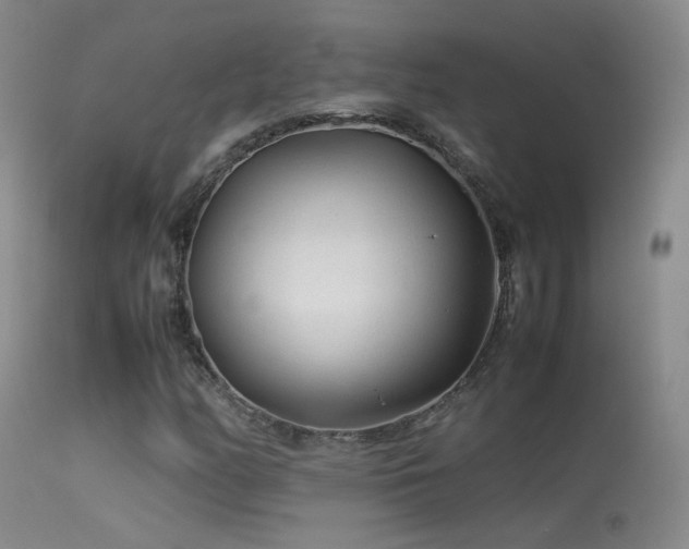 X0000113331158200909141420