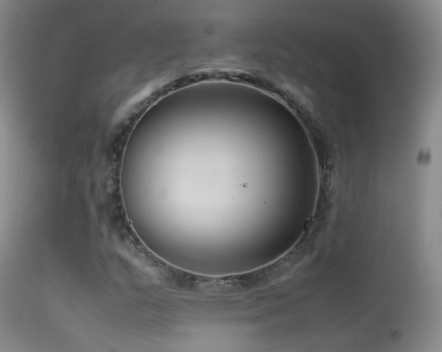 X0000113331159200909141420