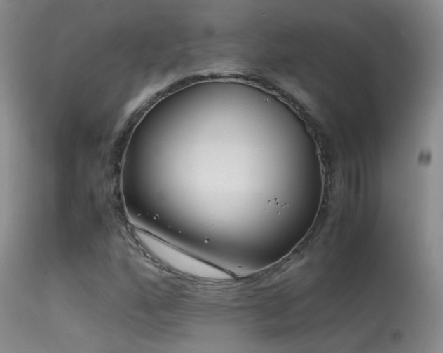 X0000113331160200909141420