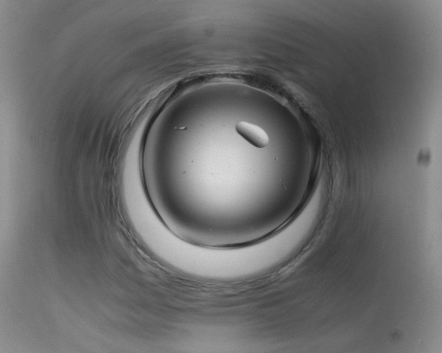X0000113331161200909141420