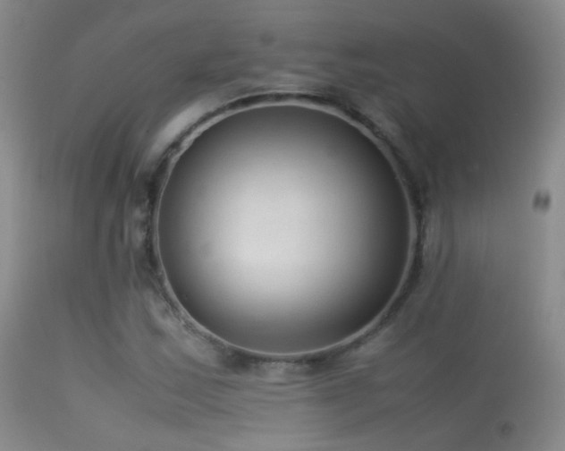 X0000113331163200909141420