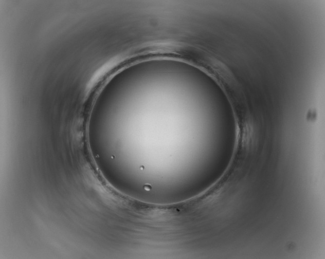 X0000113331164200909141420