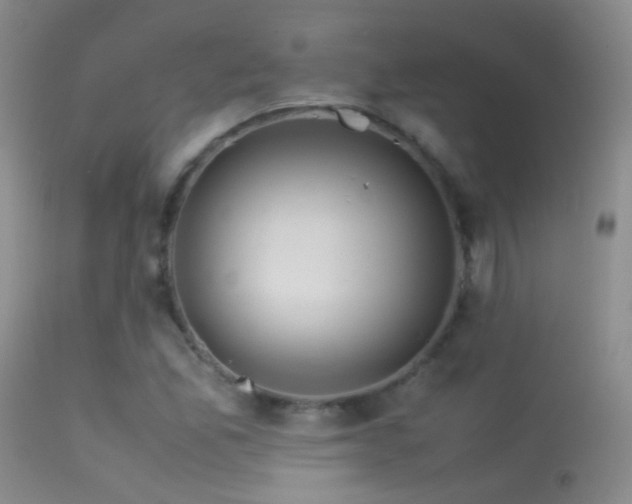 X0000113331165200909141420