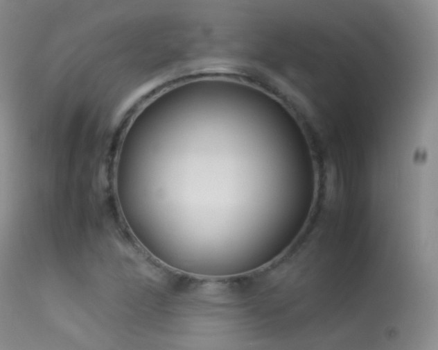 X0000113331166200909141420