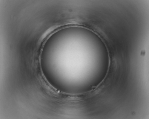 X0000113331168200909141419