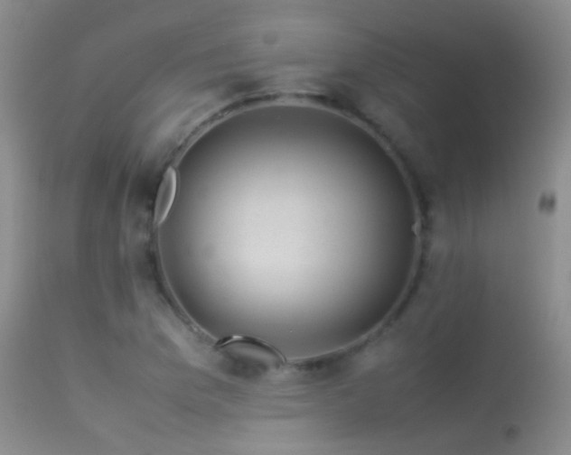 X0000113331169200909141419