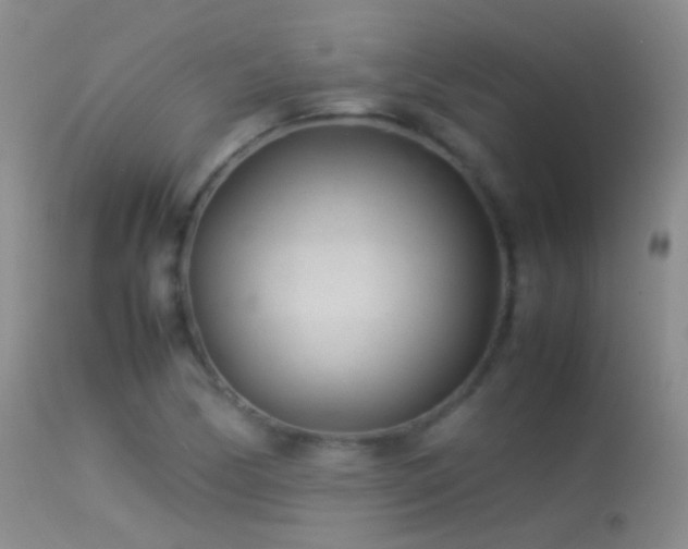 X0000113331170200909141419