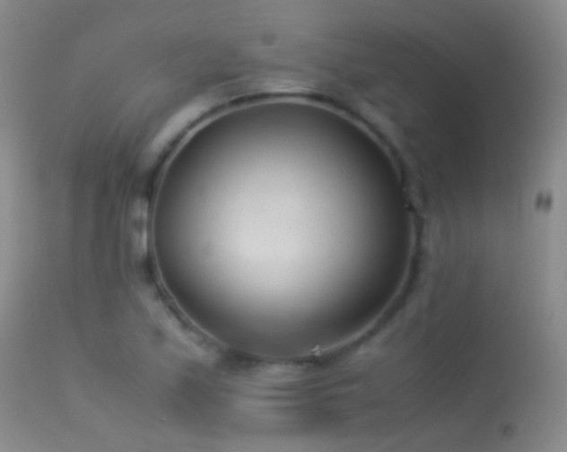 X0000113331171200909141419