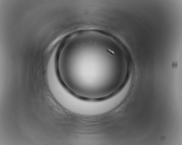 X0000113331173200909141419