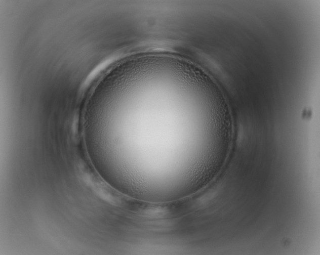 X0000113331174200909141419
