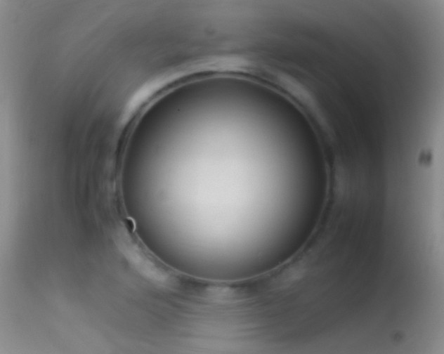 X0000113331176200909141419