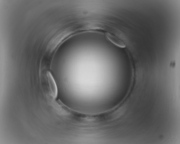 X0000113331177200909141419