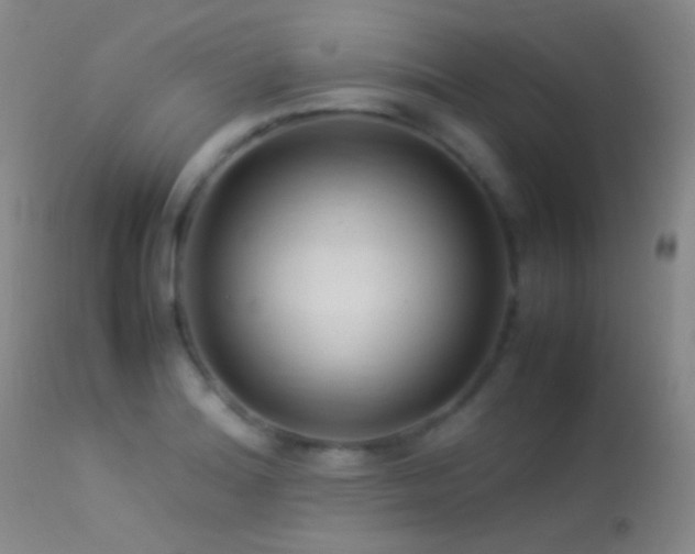 X0000113331180200909141419