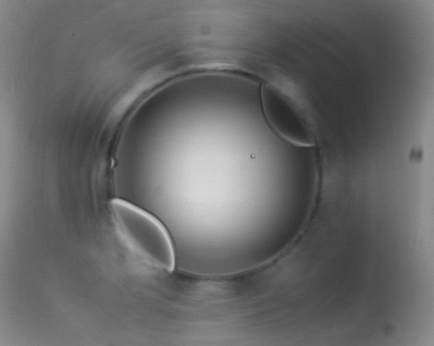 X0000113331181200909141419