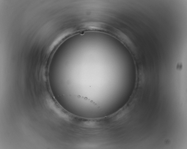 X0000113331182200909141419