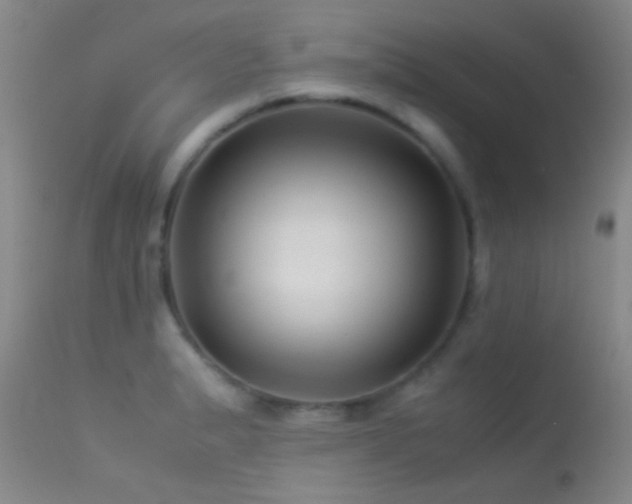 X0000113331183200909141419