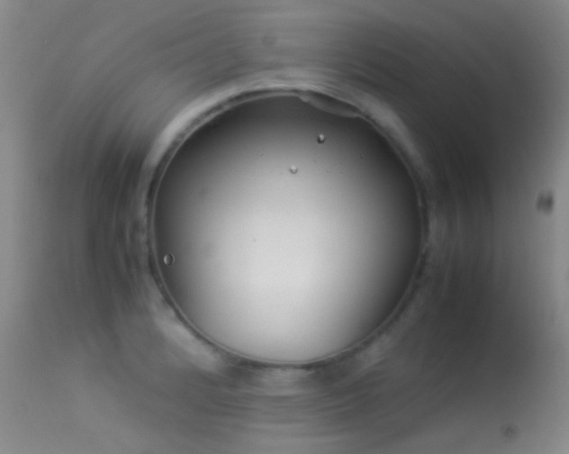 X0000113331184200909141419