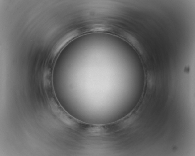 X0000113331186200909141419